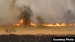 African savannah wildfire (Credit: World Agroforesrtry Center)