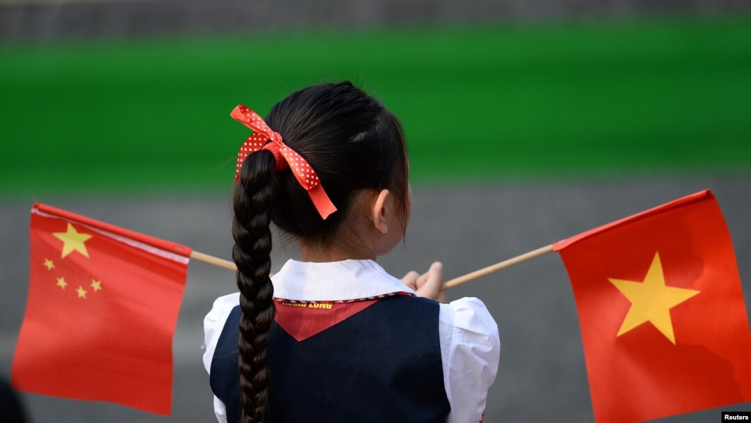 Trong quan điểm của hệ thống, chính quyền Việt Nam luôn thù ghét với các phong trào dân chủ và cảm tình với các nhà nước độc tài.