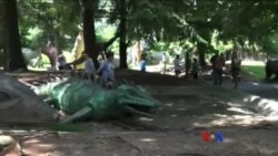 ဗာဂျီနီးယားပြည်နယ်က ဒိုင်နိုဆောပန်းခြံ