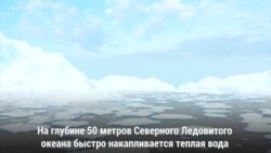 Что растопит арктический лед?