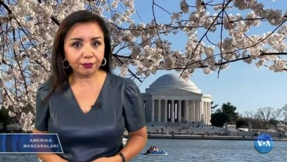 Amerika Manzaralari: Bayden, vatandoshlar, ta'lim