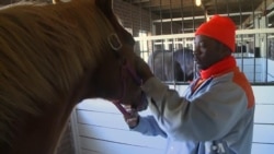 Innovative Program Gives Men and Horses a Second Chance