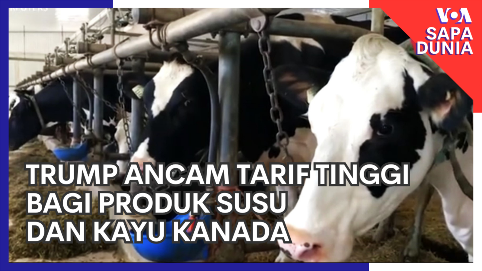 Trump Ancam Tarif Tinggi bagi Produk Susu dan Kayu Kanada 