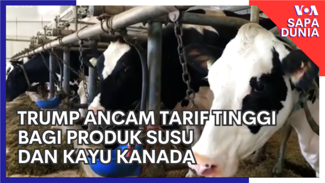 Trump Ancam Tarif Tinggi bagi Produk Susu dan Kayu Kanada  - Maret 10, 2025 episode artwork