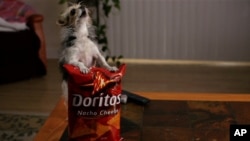 Un spot publicitaire pour Doritos, Super Bowl 2013.