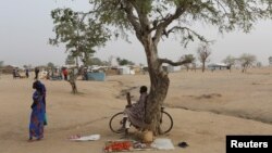 FILE - A man sells tomatoes under a tree at the Minawao refugee camp in Minawao, Cameroon.