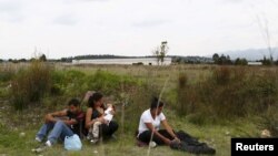 A group of Central American immigrants sit between vegetation for fear of organized crime bands in Huehuetoca, near Mexico City, June 1, 2015. An increasing number of Central Americans are sneaking across Mexico's border en route to the United States. 