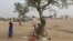 FILE - A man sells tomatoes under a tree at the Minawao refugee camp in Minawao, Cameroon.