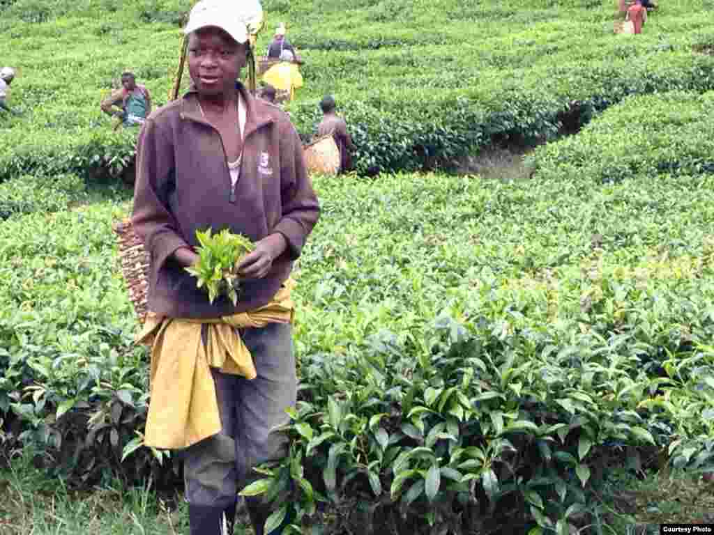 Rwanda Child Labor 