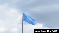 Le drapeau des Nations Unies