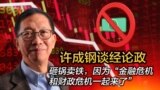 许成钢谈经论政：砸锅卖铁，因为“金融危机和财政危机一起来了”