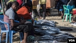 Tuna is laid out for sale in Bossaso, northern Somalia in late March 2018. (J. Patinkin/VOA)