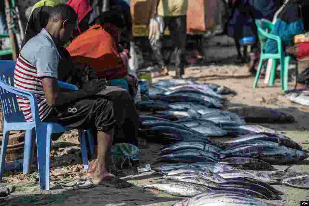 Tuna is laid out for sale in Bossaso, northern Somalia in late March 2018. (J. Patinkin/VOA)