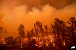 The Carr Fire burns along Highway 299 in Redding, Calif., July 26, 2018.