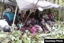 Masyarakat Nduga bersembunyi di hutan selama TNI-Polri melakukan pengejaran kelompok Egianus Kogoya. (Foto courtesy: Leri Gwijangge)