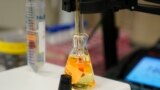 Sebuah sampel air diteliti sebagai bagian dari eksperimen pengolahan air minum PFAS di Badan Perlindungan Lingkungan di Cincinatti, pada 14 Februari 2023. (Foto: AP/Joshua A. Bickel)