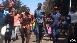 Members of the Zanu PF Youth League marching in Harare on Wednesday.