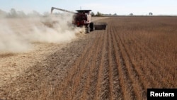 FILE - Soybean plants are harvested at a field in the city of Chacabuco, Argentina, April 24, 2013. 