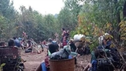 ကျောက်ကြီးမြို့နယ် တိုက်ပွဲတွေကြောင့် ဒေသခံရွာသားတွေတိမ်းရှောင် 
