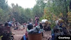 Karen IDP in the forest (မှတ်တမ်းဓါတ်ပုံ)