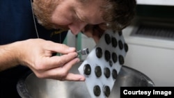 NASA scientist Dr. Marc Fries examines early sample returns attached to a magnetic board used in the search for meteorite pieces in the ocean. (NautilusLive.org)