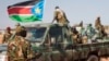 South Sudan Detains Soldiers Suspected of Ethnic Killings, Official Says