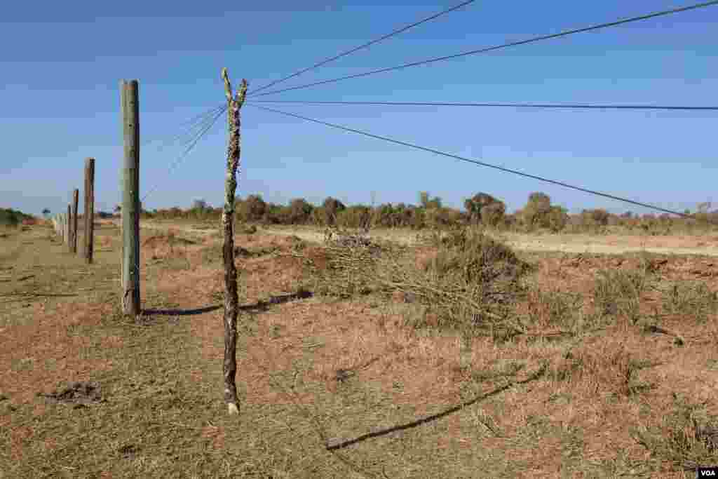 Wires of a fence are propped up in order for herders’ livestock to pass through into Mugie Conservancy, Laikipia, Kenya, March 17, 2017. (Jill Craig/VOA)