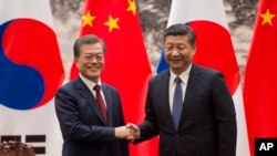 문재인 한국 대통령과 시진핑 중국 국가주석. 
