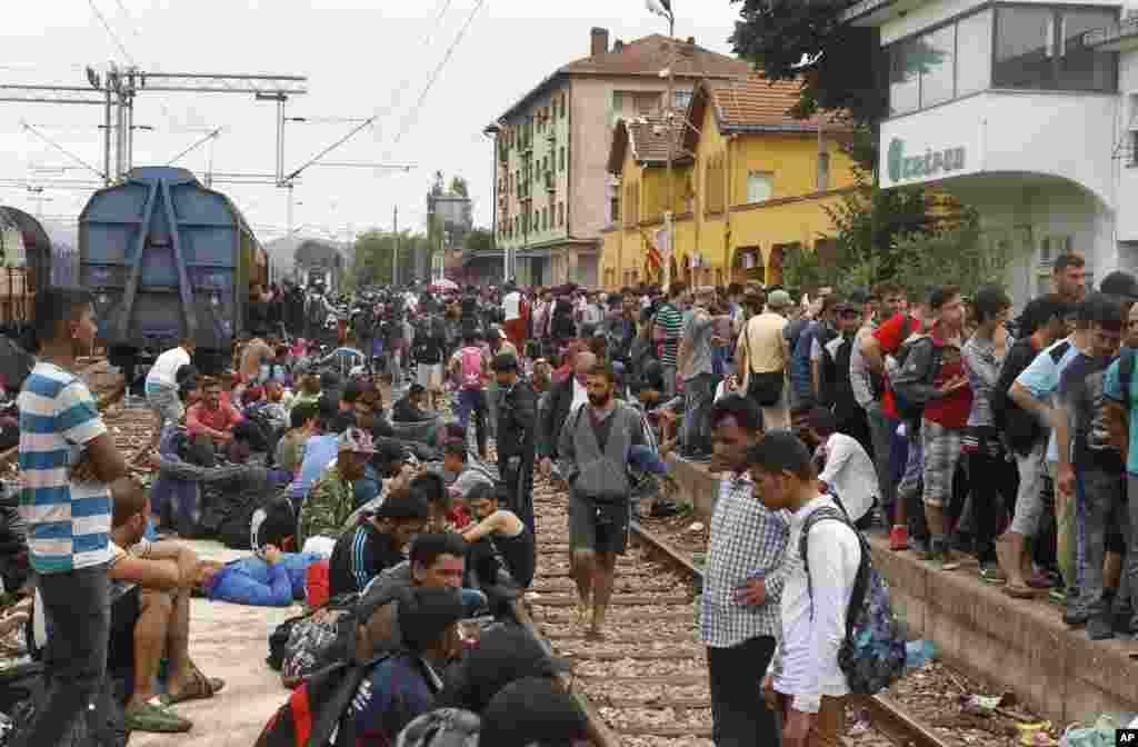 Macedonia Migrants