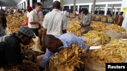 Une vente de tabac au Zimbabwe (Reuters)