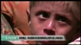 美国观察 2017年9月14日