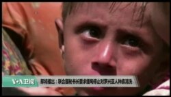 美国观察 2017年9月14日