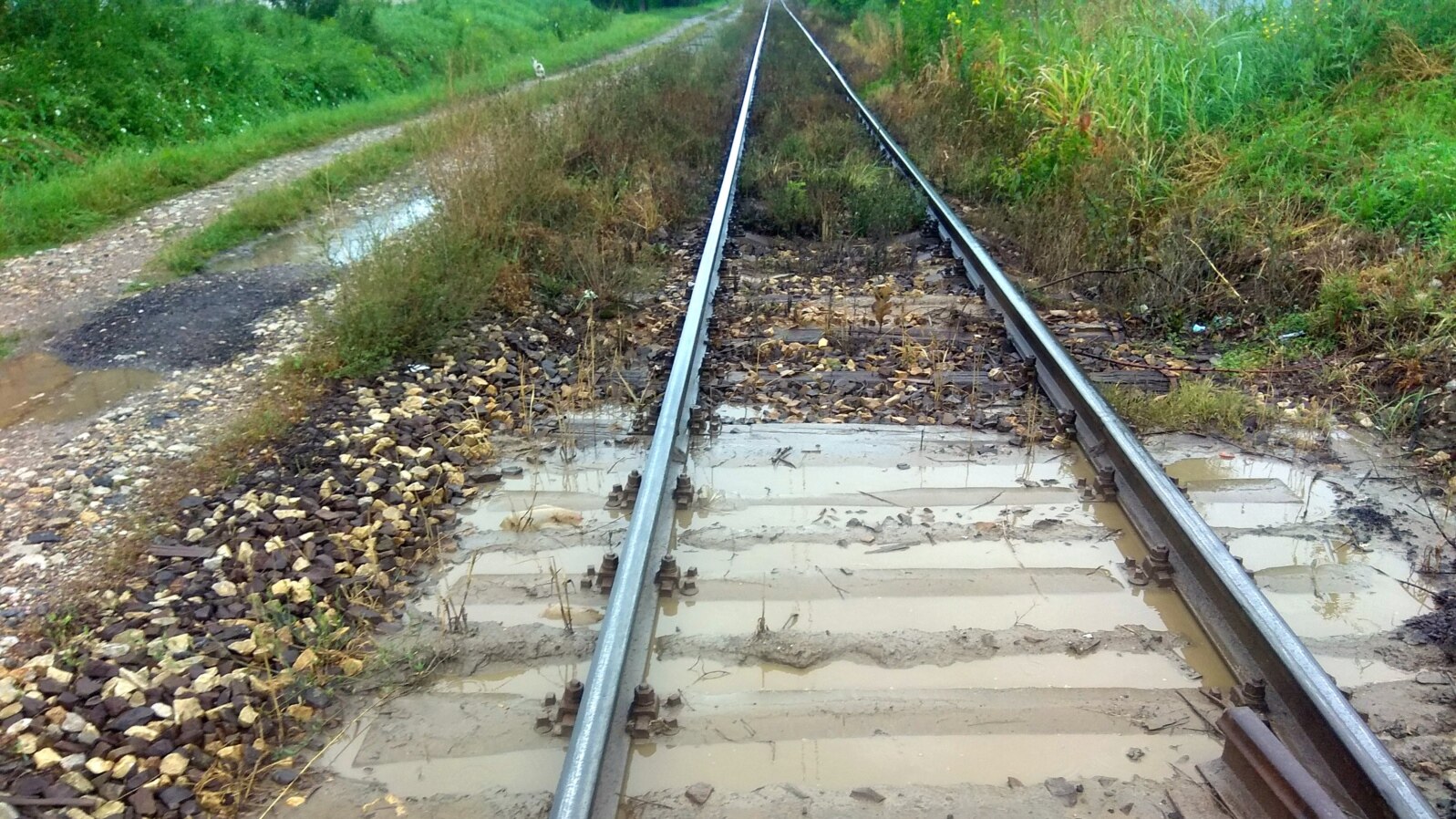 Modernizacija pruge stare više od 130 godina finansira se kineskim i ruskim kreditima (Foto: pruga Beograd-Budimpešta kod Subotice)