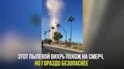 Не очень страшный «песчаный дьявол»
