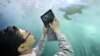 A visitor takes picture a turtle at an aquarium of the Expo 2012 in Yeosu, a small city on South Korea's south coast, May 11, 2012.