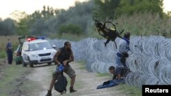 FILE: Hungarian police positioned nearby watch as Syrian migrants climb under a fence to enter Hungary at the Hungarian-Serbian border near Roszke, Hungary August 26, 2015. 