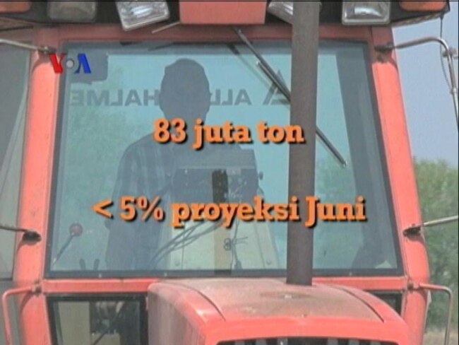 Kemarau Dongkrak Harga Kedelai Amerika - Laporan VOA