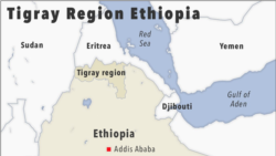 AU Should Intervene Ethiopia Conflict – Analyst [03:22]