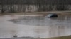 Sebuah kendaraan tampak terendam banjir yang melanda wilayah Clarksville, Tennessee, pada 16 Februari 2025. (Foto: AP/George Walker IV)