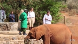 Melania Trump Visits Kenyan Children and Elephants