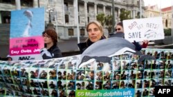 FILE - Campaigners attend a protest to protect the critically endangered Maui dolphin, in front of Parliament House in Wellington, New Zealand, May 2, 2012. 
