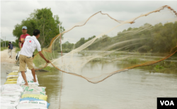 A man casts his fishing net out into a flooded tributary to the Prek Thnaot River that has flooded the Prek Kampeus commune, Dangkoa district, Phnom Penh, Cambodia, on Oct. 14, 2020. (Malis Tum/VOA Khmer)