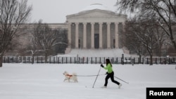 FILE - A pistillate   goes skiing with a canine  adjacent   the National Gallery of Art, arsenic  a wintertime  tempest  that brought snow, crystal  and freezing temperatures to a wide  swath of the U.S. arrived successful  Washington, Jan. 6, 2025.