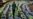 Kenya Delays Voting Indefinitely in Opposition Areas