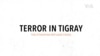 Terror in Tigray - The Ethiopian Refugee Crisis