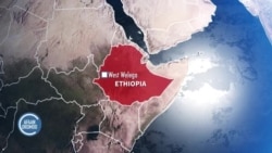 Godinaa Wallaggaa Aanaalee Adda Addaa Keessatti Torban Tokko Keessatti Namoonni 8 Ajjeesaman, Jedhan Maatii fi Jiraattonni