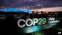 COP29 