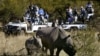 Botswana denies, March 2, 2021, reports by former President Ian Khama that at least 120 rhinoceroses have been killed in the last 18 months.