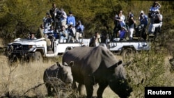 Botswana denies, March 2, 2021, reports by former President Ian Khama that at least 120 rhinoceroses have been killed in the last 18 months.