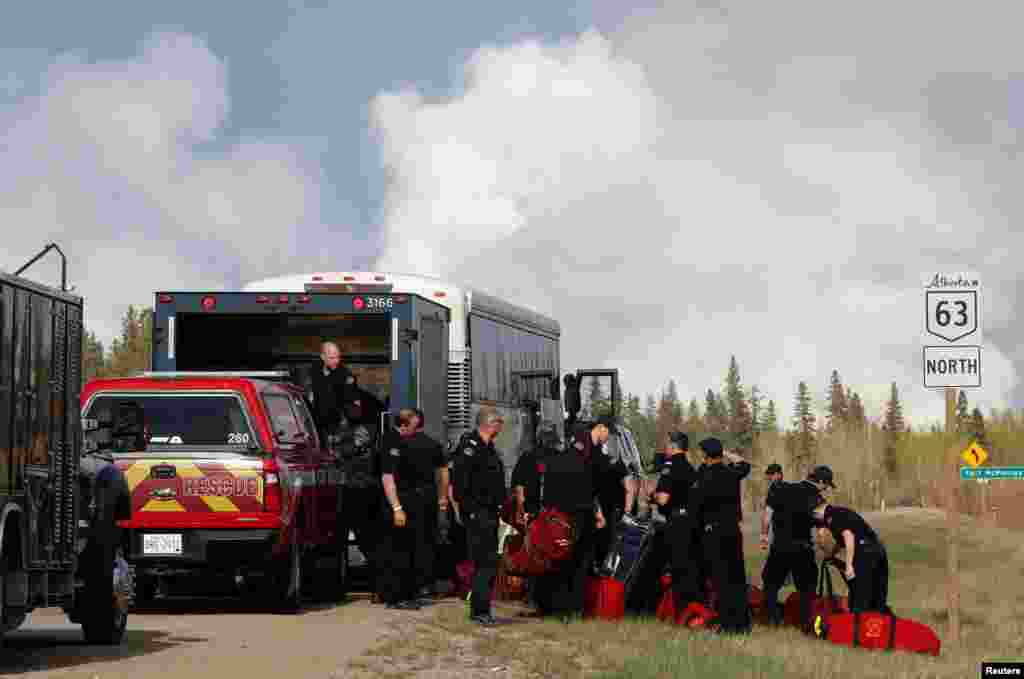 A lycaenid butterfly is pictured in Sieversdorf, northeastern Germany, Aug. 21, 2018.